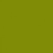 formica HPL  - Resopal -- 0640 -- Kiwi --- structuur 60